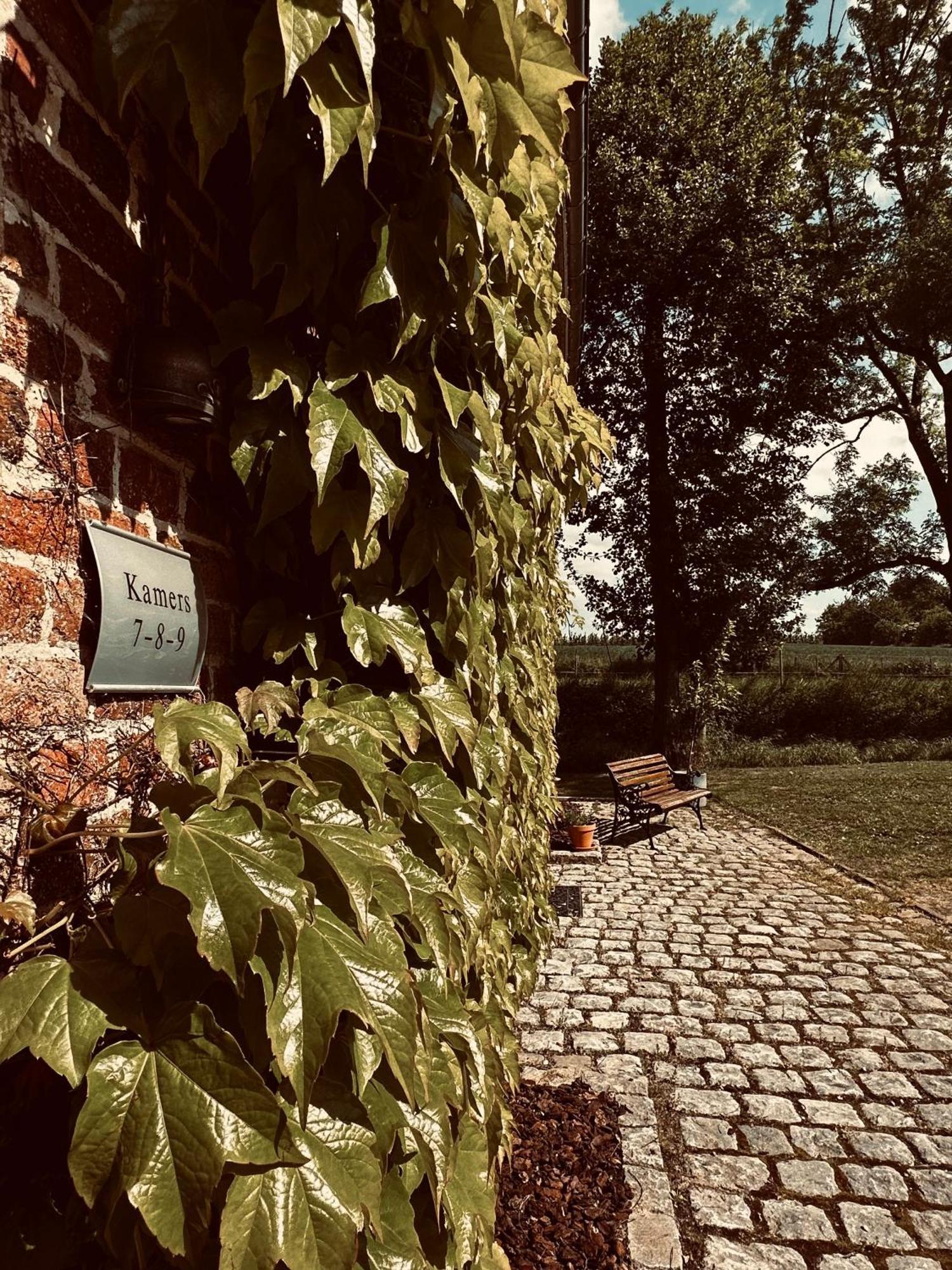 De Verborgen Parel B&B Borgloon Bagian luar foto