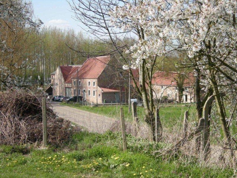De Verborgen Parel B&B Borgloon Bagian luar foto