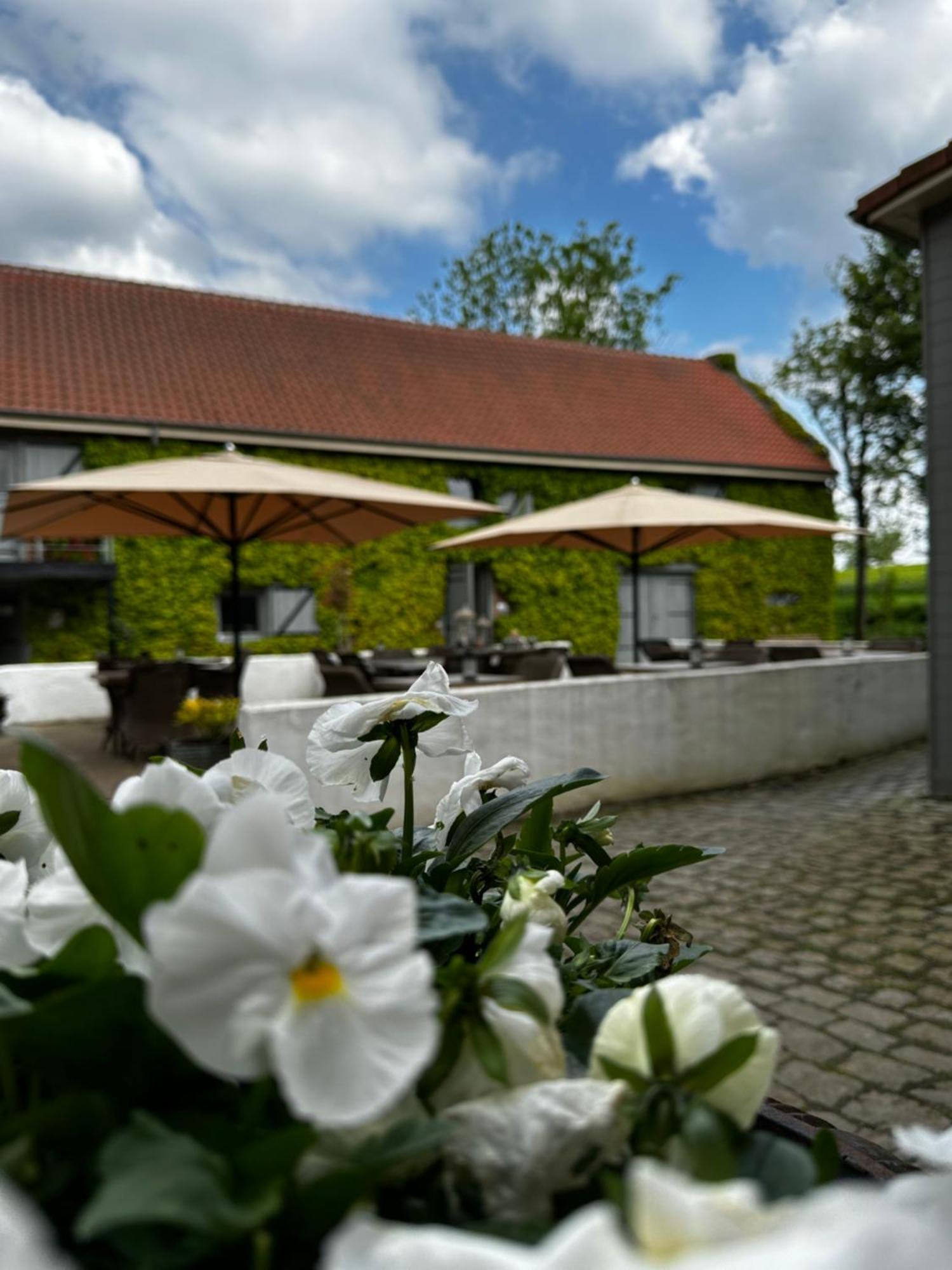 De Verborgen Parel B&B Borgloon Bagian luar foto