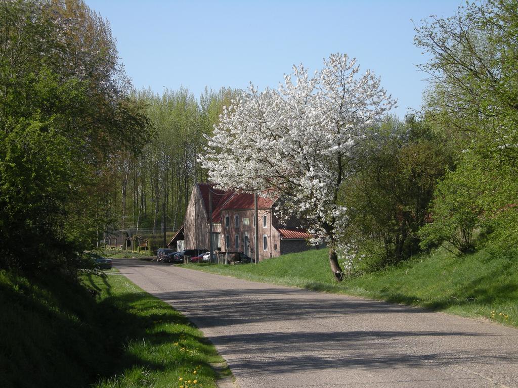 De Verborgen Parel B&B Borgloon Bagian luar foto